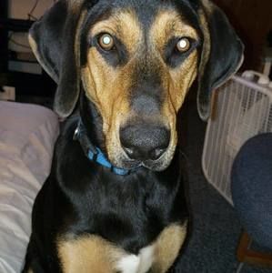 Meet your Posher, Derek